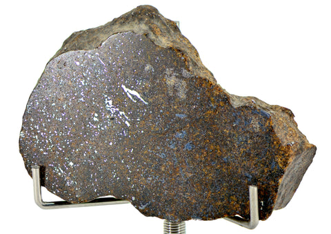 41.09g Acapulcoite Primitive Achondrite Meteorite  I NWA 17906