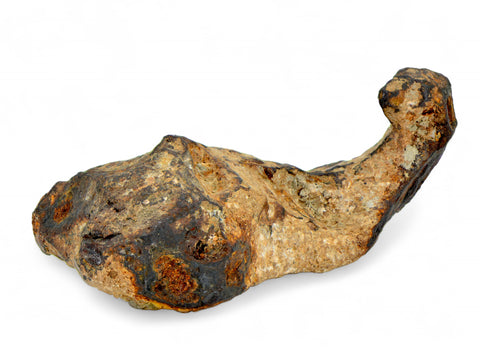 131.34 gram CANYON DIABLO meteorite - IAB Iron Meteorite