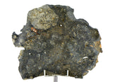 50.58g Eucrite Melt Breccia Slice I HED I Taoudenni 005