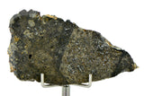 13.90g Eucrite Melt Breccia Slice I HED I Taoudenni 005