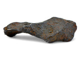13.23 gram CANYON DIABLO meteorite - IAB Iron Meteorite