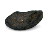 0.81g AGUAS ZARCAS Oriented Meteorite I Carbonaceous Chondrite CM2