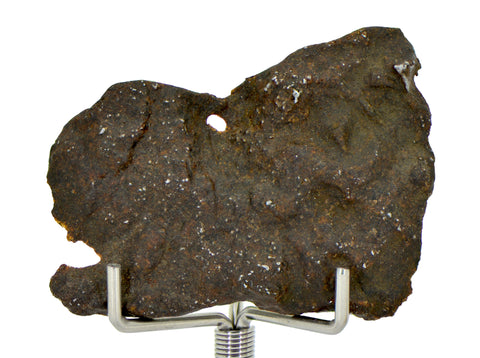 9.25g Errachidia 004 I Winonaite Anomalous Primitive Achondrite Meteorite End Piece