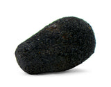 0.58g AGUAS ZARCAS Meteorite I Carbonaceous Chondrite CM2