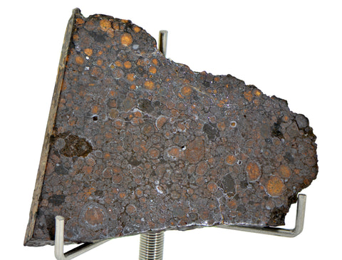 16.04g CR2 Carbonaceous Chondrite Meteorite Slice I NEA 111