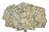 13.18g Eucrite Unbrecciated slice I HED Achondrite I NWA 12932