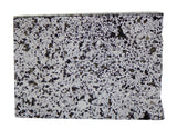 3.82g Ungrouped Chondrite Meteorite Slice I Very Rare I NWA 12273