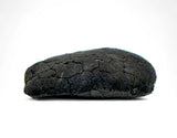 0.48g C2-ung TARDA Carbonaceous Chondrite Oriented Meteorite