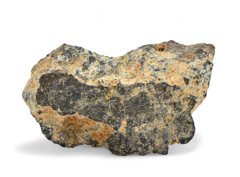4.44g CV3 Carbonaceous Chondrite Meteorite I NWA 8288