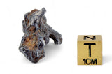 12.05g Amazing SERICHO Pallasite Meteorite