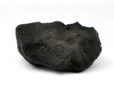 0.77g AGUAS ZARCAS Meteorite I Carbonaceous Chondrite CM2