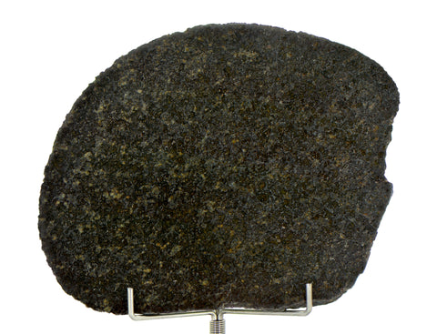 51.95g Ureilite Augite-bearing Achondrite Meteorite Slice I NWA 11900