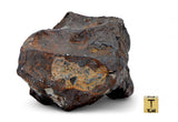 1,332 gram / 1.3 Kg AGOUDAL Iron Meteorite - IIAB Iron