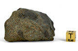 51.48g H5 Chondrite Melt Breccia Meteorite End Piece I NWA 12924