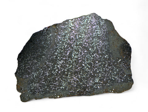 51.48g H5 Chondrite Melt Breccia Meteorite End Piece I NWA 12924