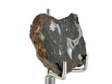 12.61g SERICHO Pallasite Meteorite Beautiful End Cut