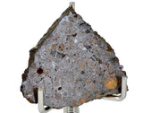 3.10g CR2 Carbonaceous Chondrite Meteorite Slice I NEA 111