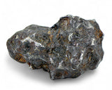 72.06g Amazing SERICHO Pallasite Meteorite