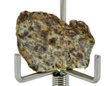 1.17g Erg Chech 002 Ungrouped Achondrite Meteorite