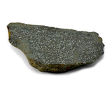 51.48g H5 Chondrite Melt Breccia Meteorite End Piece I NWA 12924