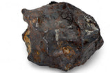 1,332 gram / 1.3 Kg AGOUDAL Iron Meteorite - IIAB Iron