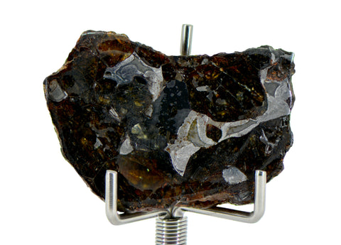 12.61g SERICHO Pallasite Meteorite Beautiful End Cut