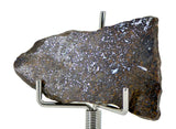 5.75g Errachidia 004 I Winonaite Anomalous Primitive Achondrite Meteorite Slice