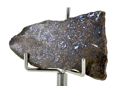 5.75g Errachidia 004 I Winonaite Anomalous Primitive Achondrite Meteorite Slice