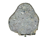 32.12g Unbrecciated Eucrite Slice I HED I NWA 17927