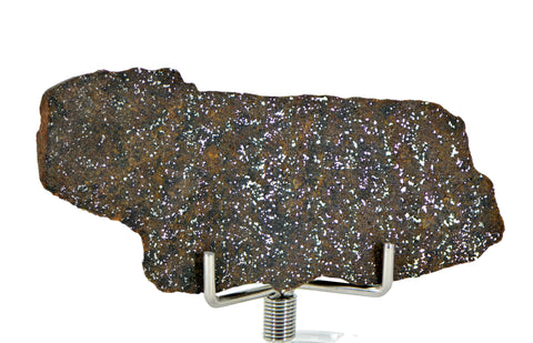 18.76g Errachidia 004 I Winonaite Anomalous Primitive Achondrite Meteorite End Piece