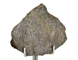 16.13g Errachidia 004 I Winonaite Anomalous Primitive Achondrite Meteorite End Piece