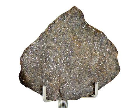 16.13g Errachidia 004 I Winonaite Anomalous Primitive Achondrite Meteorite End Piece