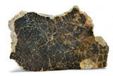 23.86g Eucrite Unbrecciated end piece I HED Achondrite I NWA 12932