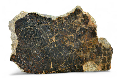 23.86g Eucrite Unbrecciated end piece I HED Achondrite I NWA 12932