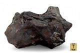 1,332 gram / 1.3 Kg AGOUDAL Iron Meteorite - IIAB Iron