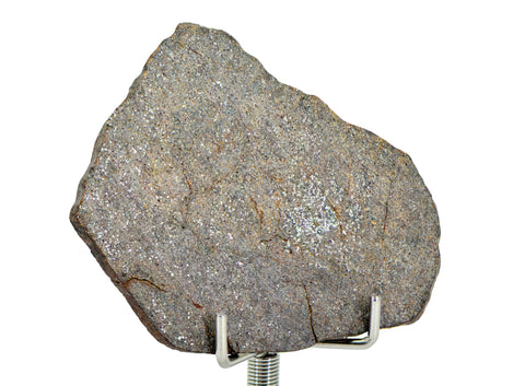 8.68g Errachidia 004 I Winonaite Anomalous Primitive Achondrite Meteorite Slice