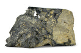 50.77g Eucrite Melt Breccia Corner Cut I HED I Taoudenni 005