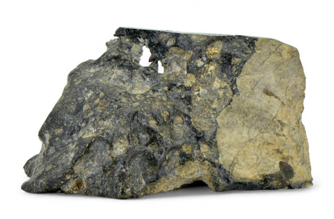50.77g Eucrite Melt Breccia Corner Cut I HED I Taoudenni 005