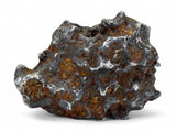 82.55g Amazing Complete SERICHO Pallasite Meteorite
