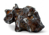 16.26g Amazing Complete SERICHO Pallasite Meteorite