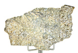 15.83g Eucrite Unbrecciated slice I HED Achondrite I NWA 12932