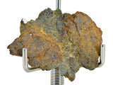 2.59g LL7 Poikiloblastic Chondrite Meteorite Slice I NWA 17585