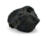 1.46g C2-ung TARDA Carbonaceous Chondrite Meteorite