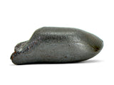 11.80g SIKHOTE ALIN witnessed fall 1947 I Iron Meteorite