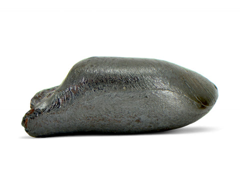 11.80g SIKHOTE ALIN witnessed fall 1947 I Iron Meteorite