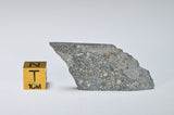 ABA PANU Meteorite Partial Slice 8.0g I L3.6  TYPE 3 - Chondrite Meteorite