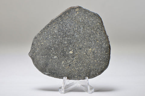 ABA PANU Chondrite Meteorite Full Slice 61g I L3.6 TYPE 3 - 2018 Nigeria Fall