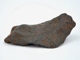 16.5 gram CANYON DIABLO meteorite - IAB Iron Meteorite