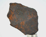 16.5 gram CANYON DIABLO meteorite - IAB Iron Meteorite