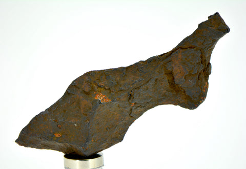 17.1 gram CANYON DIABLO meteorite - IAB Iron Meteorite